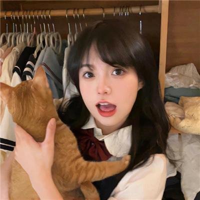 领地之争