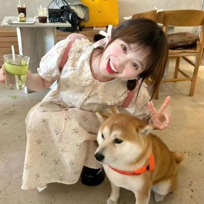 亲爱的莱蒙·利玛